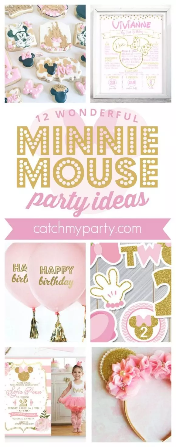 12 Wonderful Minnie Mouse Party Supplies | CatchMyParty.com