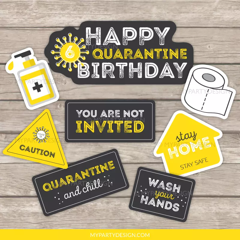 Quarantine Birthday Photo Props