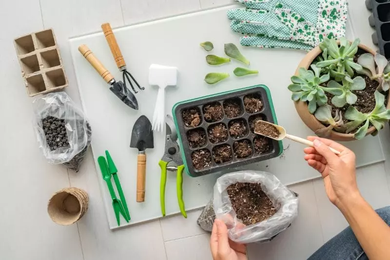 Complete Succulent Birthday Party Guide (Supplies, Activities, and Decorations)